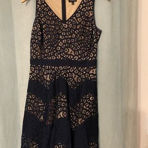 Navy lace over lay dress